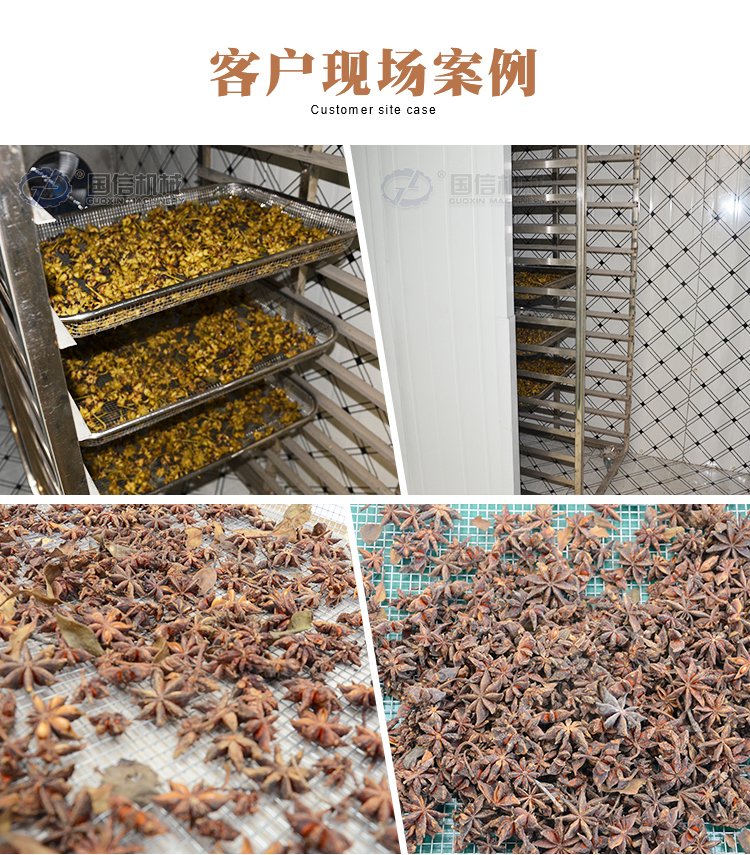 國信八角烘干機 茴香干燥、中藥材脫水的全自動化解決方案