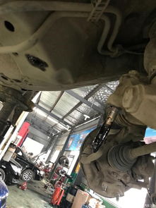 發動機懸掛系統更換全攻略 下擺臂、元寶梁與機腳紙元寶的維護